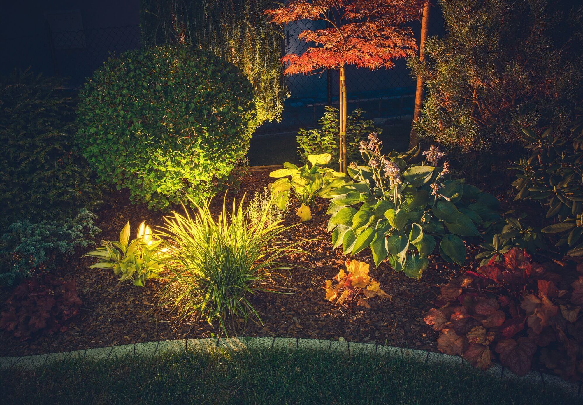 oświetlenie roślin w ogrodzie
